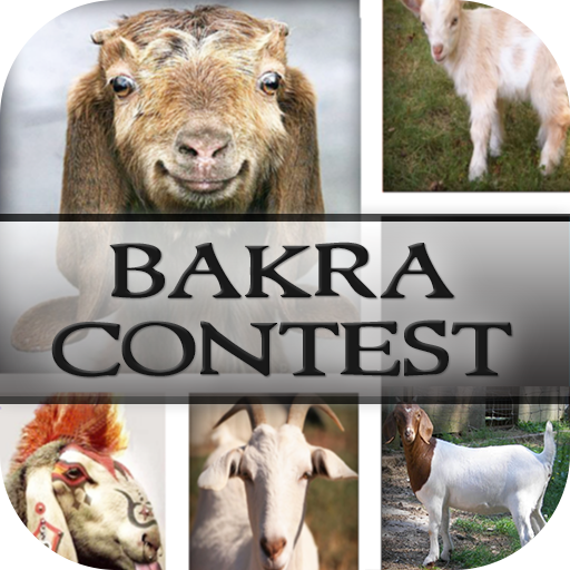 Bakra Contest  Icon