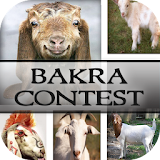 Bakra Contest icon