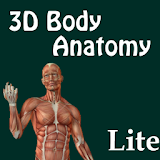 3D Body Anatomy Doctor LITE icon