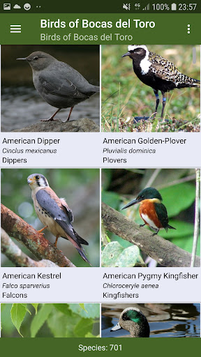 Bird Guide for Bocas del Toro Screen 2