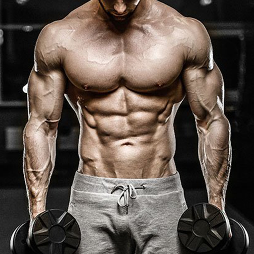 Workout Training Gym & Fitness विंडोज़ पर डाउनलोड करें
