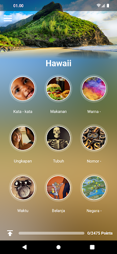 Pratinjau aplikasi