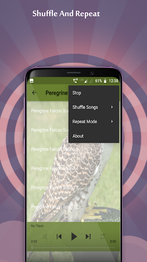 Peregrine Falcon Sounds Screen 2