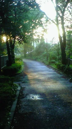D45m_Test_DF_05 - Screenshot 2