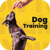 Dog training, Dog Tricks