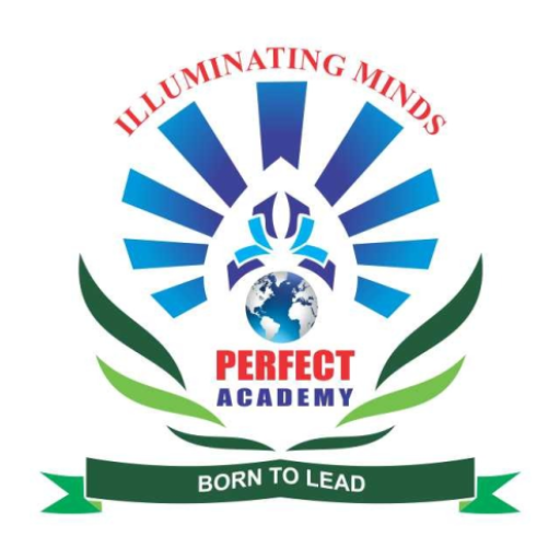 Perfect Academy logo