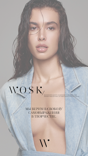 Wosk1147 Screen 2