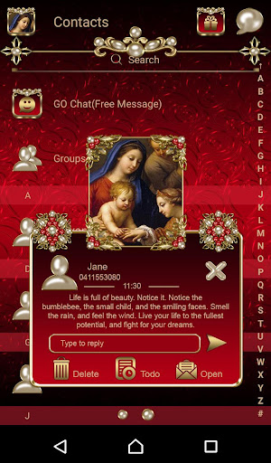 Virgin Mary Red Go SMS theme Screen 3