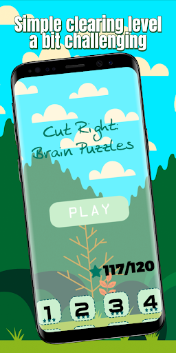Android application Cut Right: Brain Puzzles screenshort