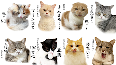 猫ヤクザの仁義にゃき戦い - オンライン対戦カードゲームのおすすめ画像2