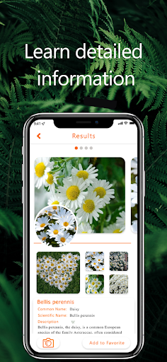 Plant Identifier App - EarthID Screen 2
