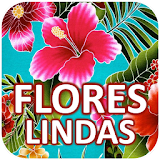 Flores Lindas icon
