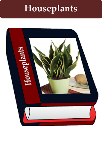 Houseplant Screen 2