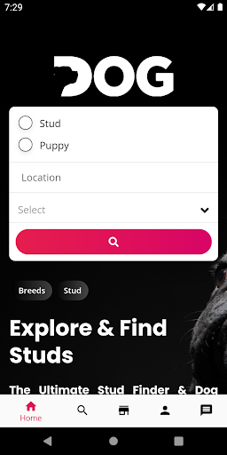 Android application Stud Dog screenshort