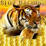 Tiger Slot Machine - Free Game icon