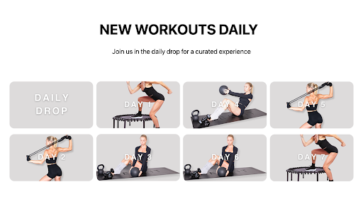 Screenshot of LEKFIT online studio