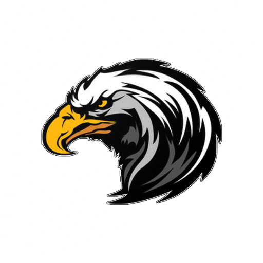 Hawk Download on Windows