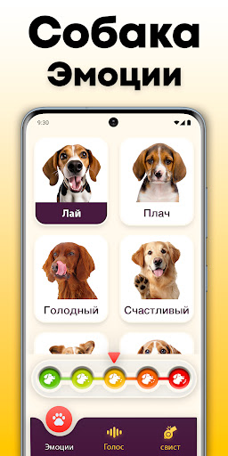 Переводчик для собак : собачий screenshot 3