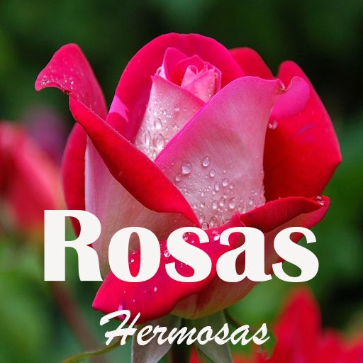 Roses and beautiful flowers logo