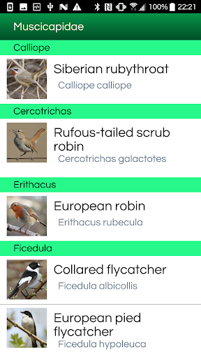 Birds of the Southern Europe Screen 3