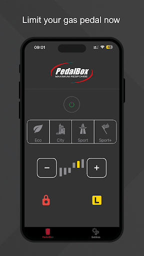DTE PedalBox Screen 3