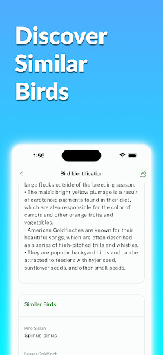 Bird Identifier: Birding ekran görüntüsü