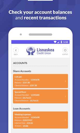 Lisnaskea Credit Union Screen 2