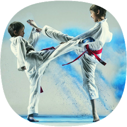 Ikonbild för Taekwondo -guide