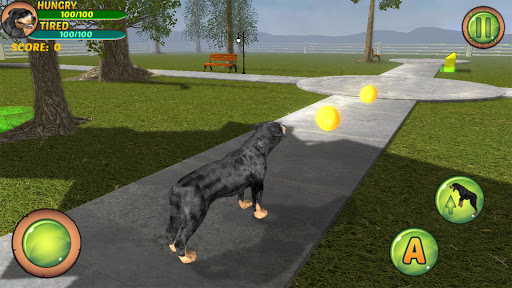 Rottweiler Dog Life Simulator