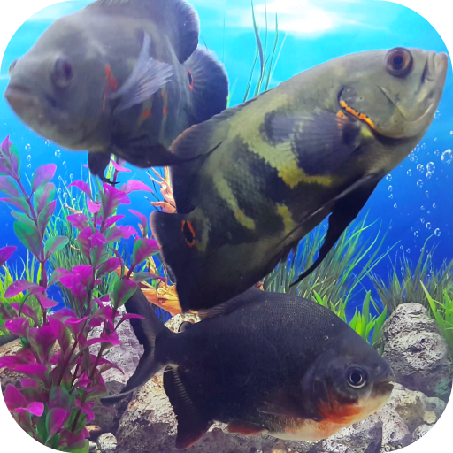Oscar Fish Aquarium Video 3D logo