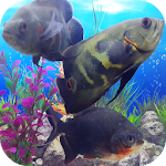 Cover Image of ดาวน์โหลด Oscar Fish Aquarium Video 3D  APK