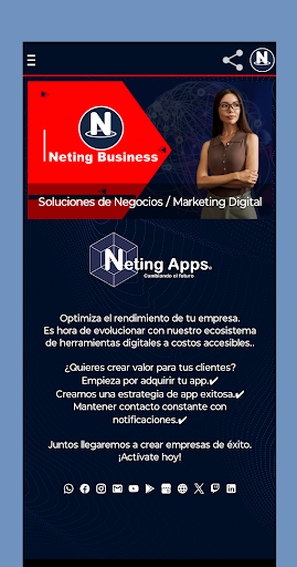 Neting Business App Screen 2