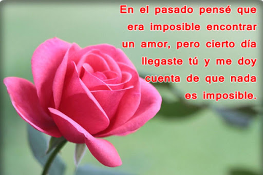 Android application Ramos de Rosas con Poemas screenshort