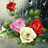 Drop Roses icon
