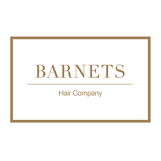 Barnets Hair logo