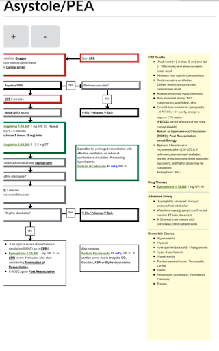 Responsoft EMS Protocols V2 Screen 3
