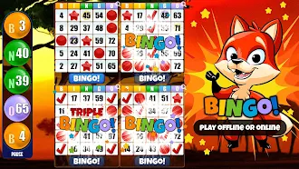 Game screenshot Absolute Bingo apk download