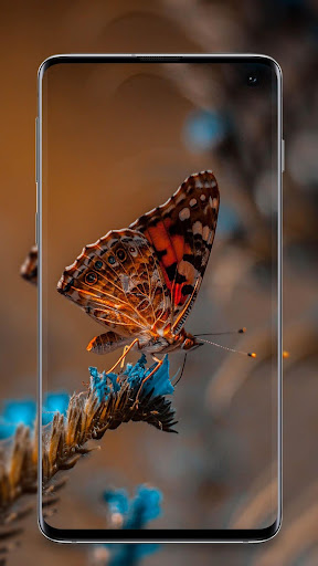 Butterfly Wallpaper - Colorful Screen 3