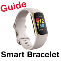 smart bracelet guide