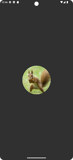 Android application Squirrel Sounds screenshort