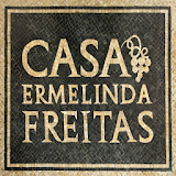 Casa Ermelinda Freitas icon