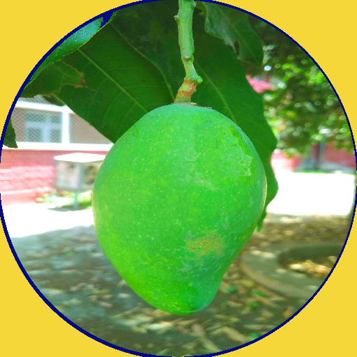 Raw Mango Products( in English logo
