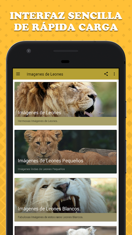 Imagenes de Leones by DiegoApps - Imagenes con Frases - (Android Apps) —  AppAgg