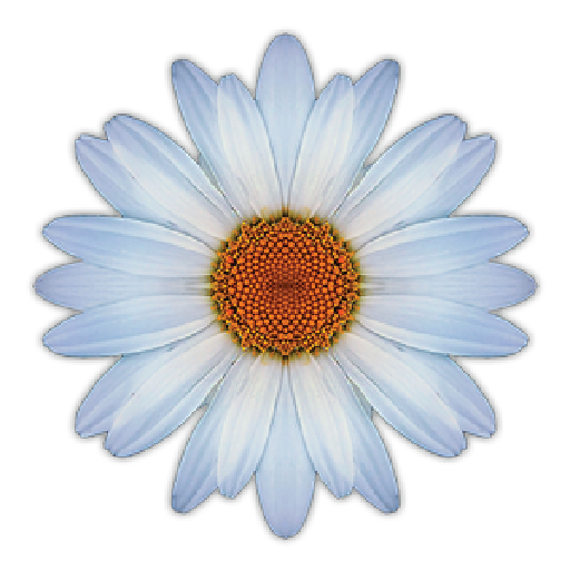Daisy logo