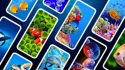 Android application Underwater Wallpapers PRO screenshort