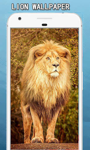 Android application Lion Wallpapers Hd screenshort