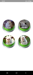 Huh Cat Sound Effect Button