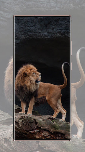 Lion Wallpaper Screen 3