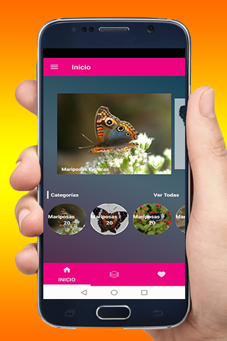 Download Imágenes de Mariposas Free for Android - Imágenes de Mariposas APK  Download 