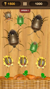 Colorado Beetles Smasher